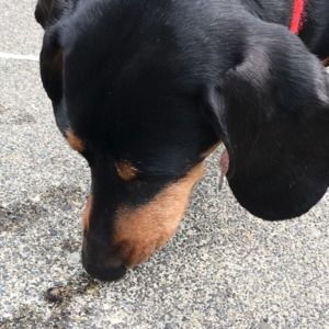 Meet your Posher, Cathy